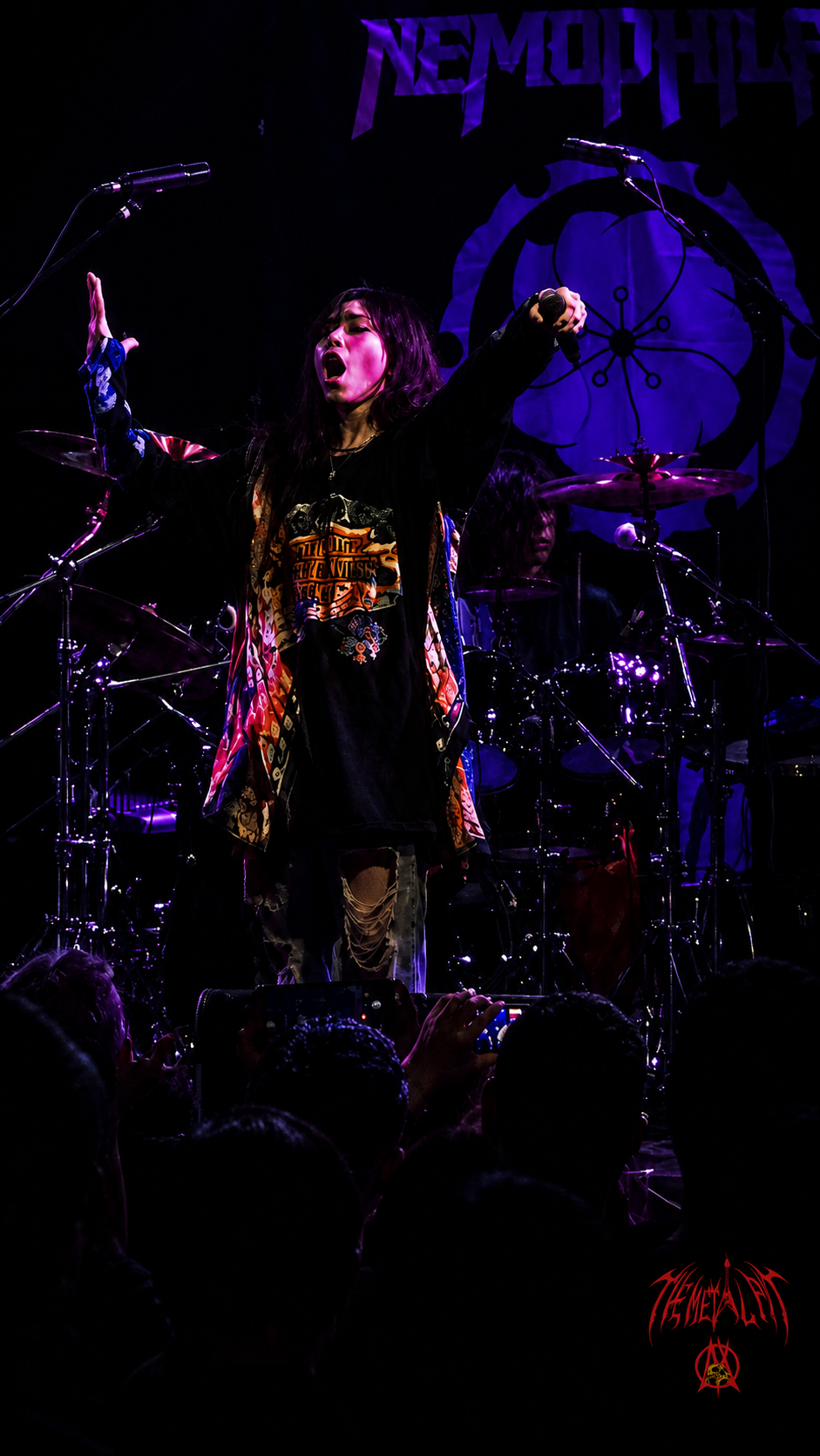 Nemophila live in Toronto