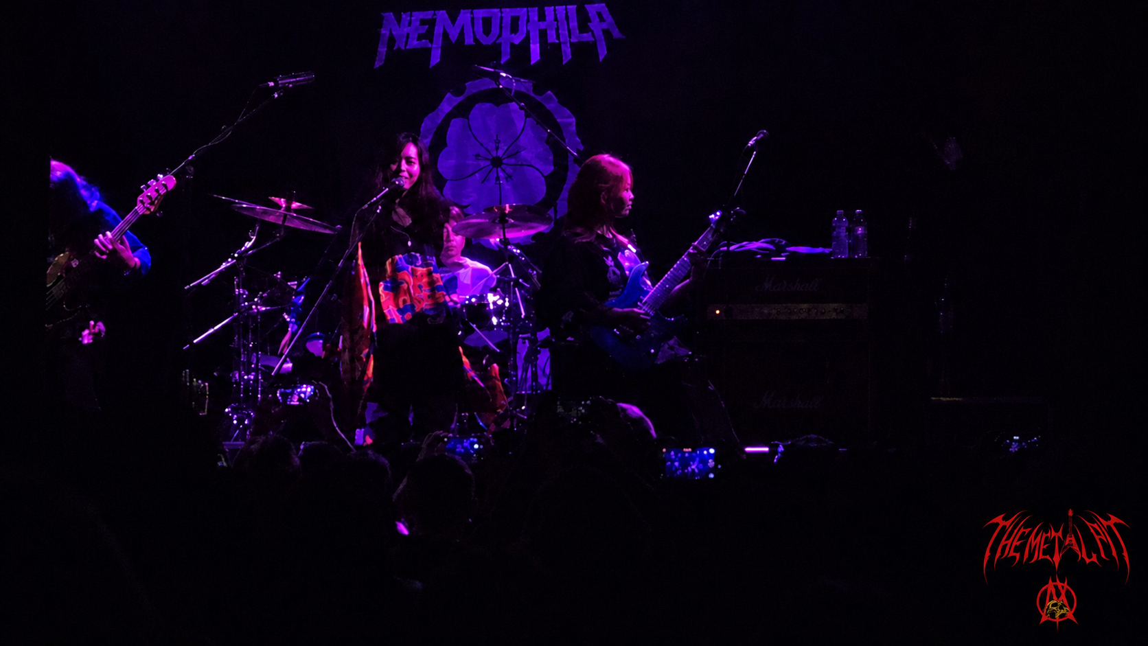 Nemophila guitarist live at Lee's Palace